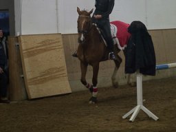 img_4006_web